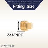 LTWFITTING Brass Pipe Square Head Plug Fittings 3/4 Inch Male NPT Air Fuel Water Boat(Pack of 200)