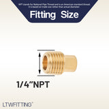 LTWFITTING Brass Pipe Square Head Plug Fittings 1/4 Inch Male NPT Air Fuel Water Boat(Pack of 500)