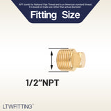 LTWFITTING Brass Pipe Square Head Plug Fittings 1/2 Inch Male NPT Air Fuel Water Boat(Pack of 300)