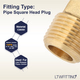 LTWFITTING Assortment Kit 1/8" 1/4" 3/8" 1/2" 3/4" NPT Male Brass Pipe Square Head Plug Set (Pack of 45)