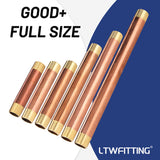 LTWFITTING Assortment Kit Total length (5" 5-1/2" 6" 8" 10" 12") x 3/4" Male NPT Brass Pipe Nipple Set (Pack of 6)