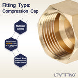 LTWFITTING Assortment Kit Tube OD 1/4" 5/16" 3/8" 1/2" 5/8" Brass Compression Cap Set (Pack of 100)