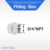 LTWFITTING Bar Production Stainless Steel 316 Pipe Fitting 3/4 Inch Female NPT Coupling Water Boat (Pack of 25)