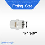 LTWFITTING Bar Production Stainless Steel 316 Pipe Fitting 1/4 Inch Female NPT Coupling Water Boat (Pack of 5)